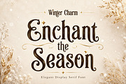 Winter Charm, a Serif Font by Wow Magic (Thumbnail 3 of 5)