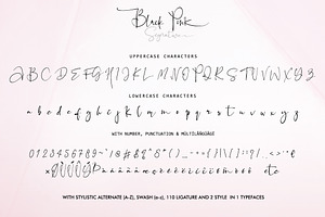 Black Pink Signature