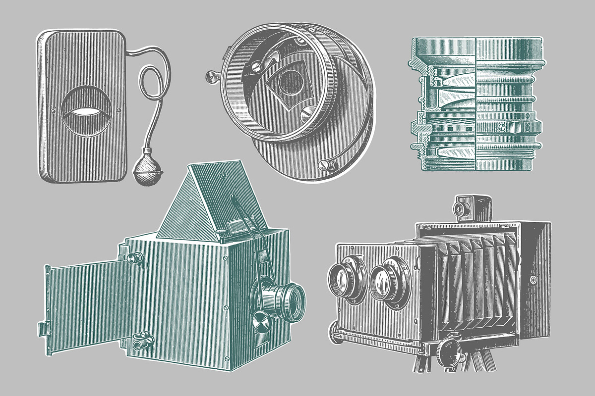Photography - Vintage Illustrations, an Illustration by Graphic Goods (Photo 9 of 11)