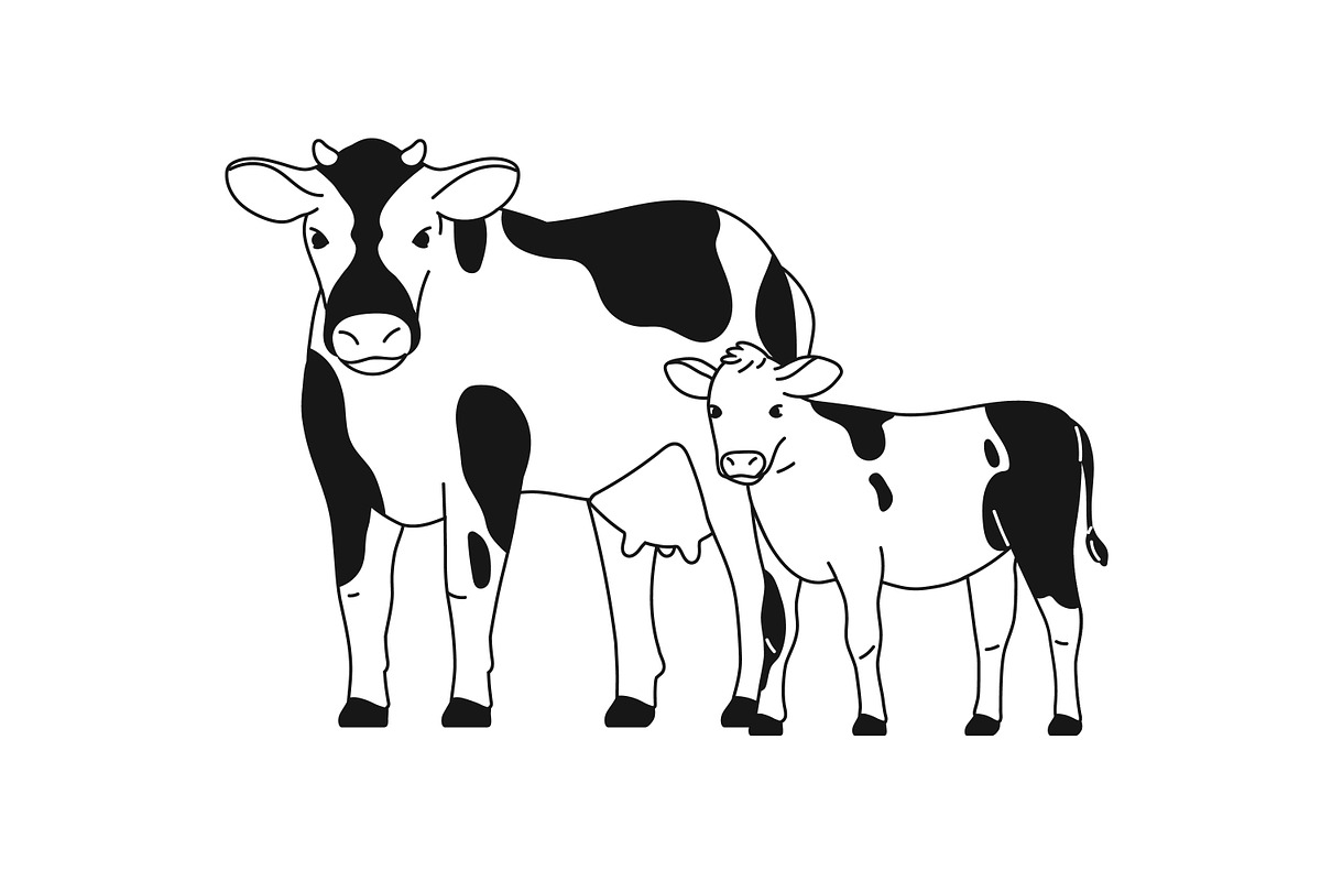 Dairy milk cows & calf, line art set, an Animal Illustration by Good Studio (Photo 2 of 7)