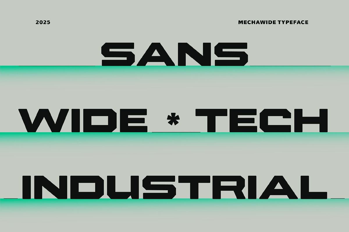 Mechawide, a Sans Serif Font by graphicook (Photo 2 of 10)
