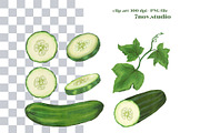 Cucumber, a Food Illustration by 7nov.studio (Thumbnail 2 of 2)