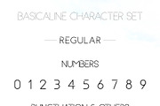 Basicaline Font Family - Sans Serif, a Sans Serif Font by RC graphics (Thumbnail 11 of 21)