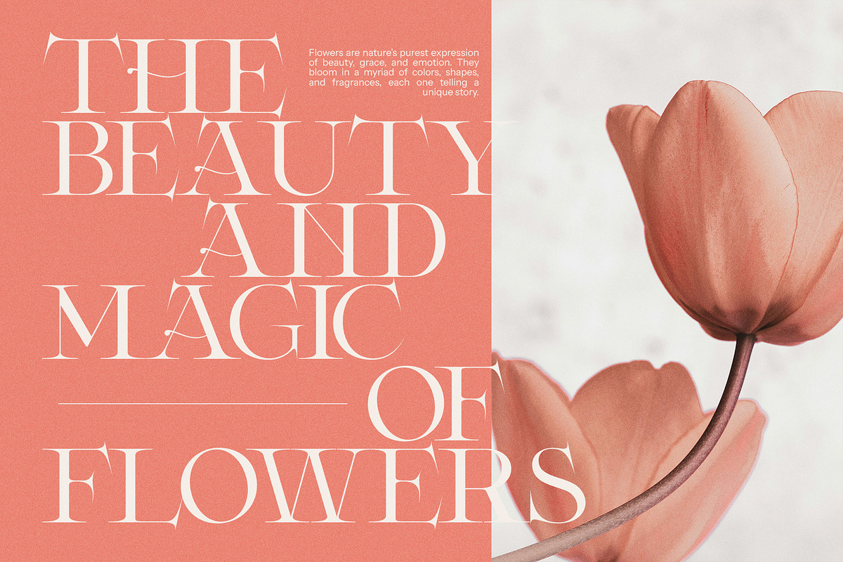 Foste - Elegant Serif Font, a Serif Font by Graphicxell (Photo 5 of 8)