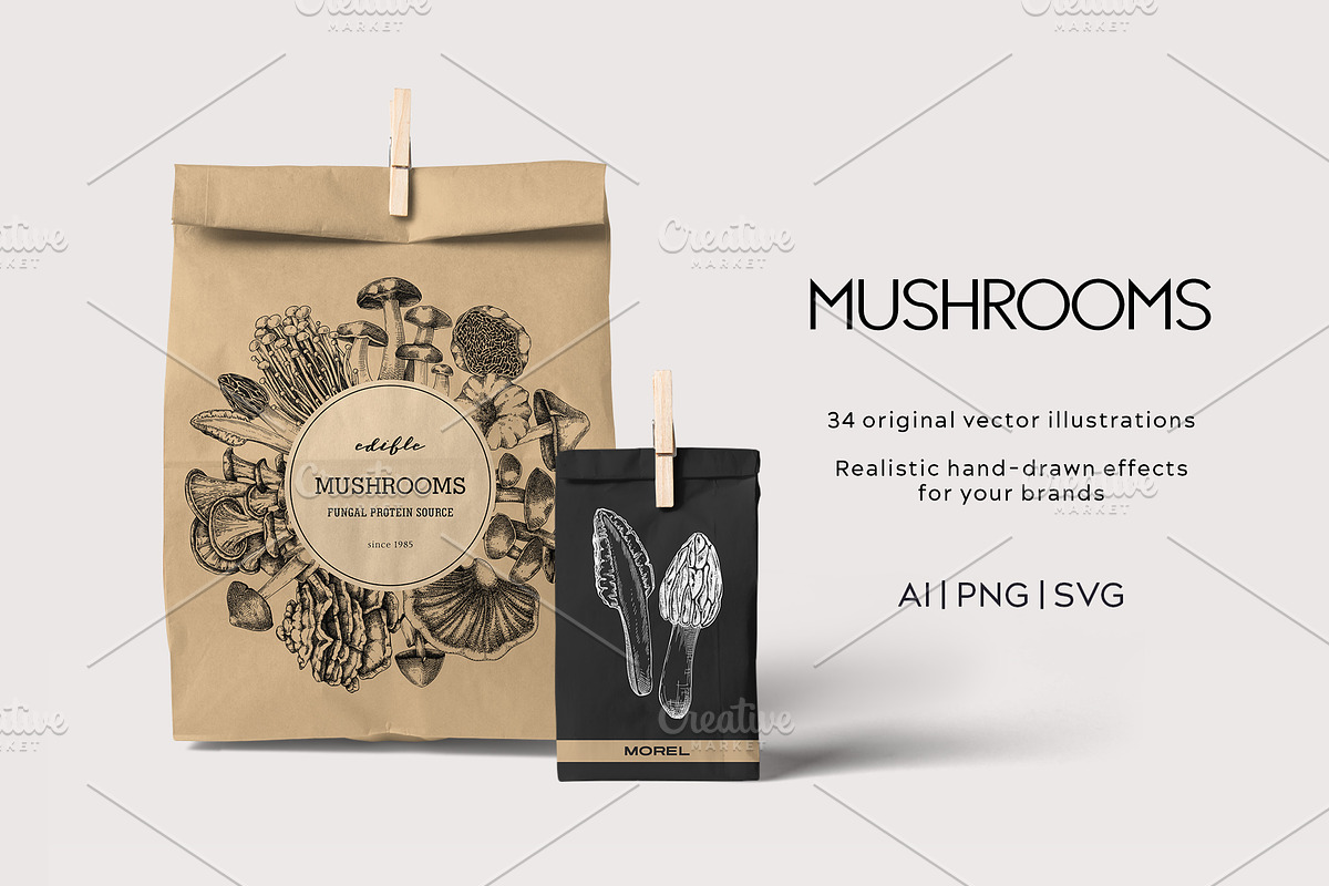 Mushrooms Vector Illustration Set, an Object Illustration by Yevheniia (Photo 2 of 14)
