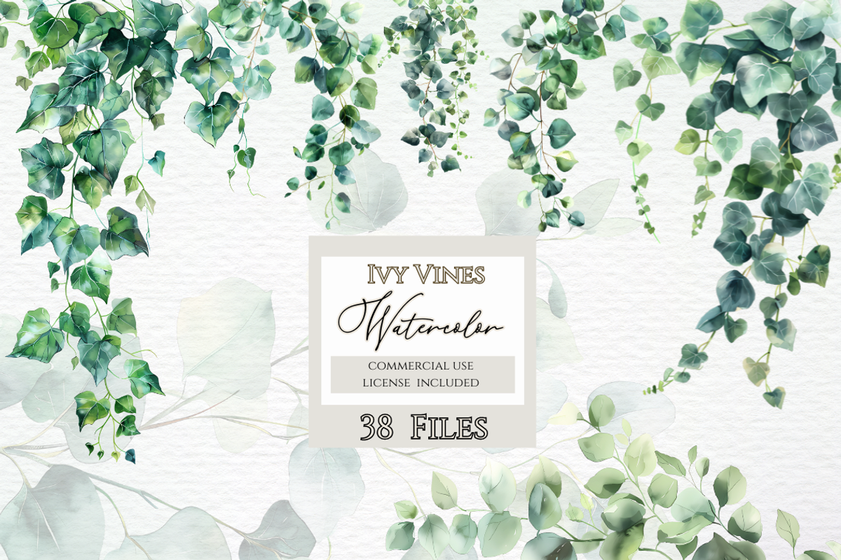 Ivy vines clipart, Greenery, a Decorative Illustration by Invite to Clipart (Photo 1 of 5)