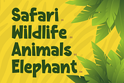 Zurambi – Adventure Display Font, a Sans Serif Font by Variatype (Thumbnail 5 of 14)