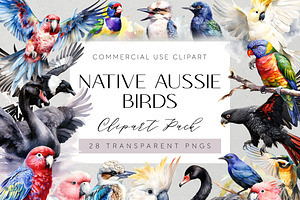 Australian Native Birds Clipart