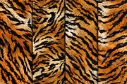 Realistic Tiger Fur Print Texture, a Pattern Graphic by Artonix (Thumbnail 4 of 5)