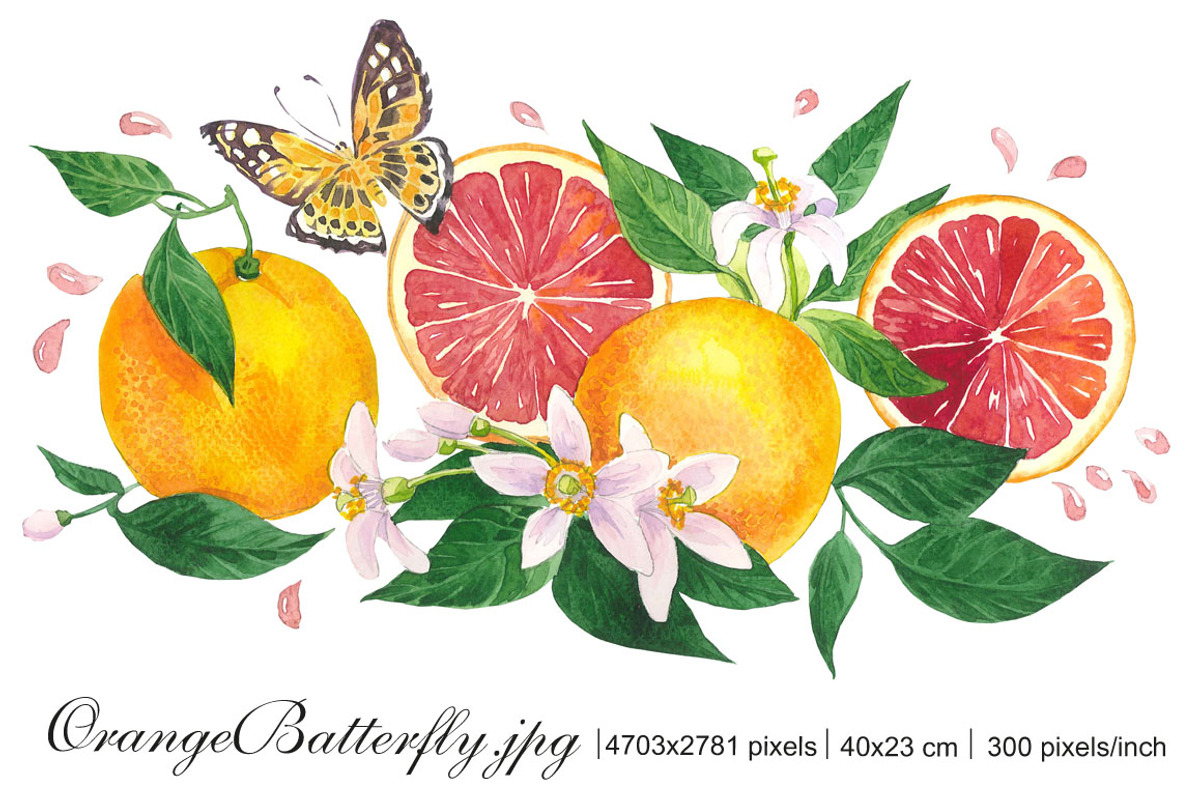 Fruits & Flowers Set, an Illustration by Marina.Markizova (Photo 2 of 5)
