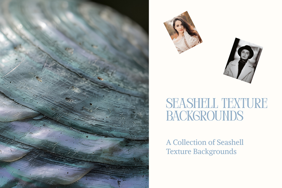 Seashell Texture Backgrounds, a Background Graphic by youtoview (Photo 9 of 12)