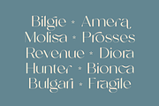 Tropical Avenue, a Sans Serif Font by zeenesia (Thumbnail 11 of 18)
