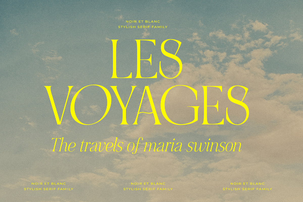 NOIR et BLANC Stylish Serif, a Serif Font by Nicky Laatz (Photo 37 of 41)