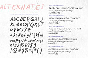 We'll Talk Someday Messy Handwritten, a Handwritten Font by Perplexitics (Thumbnail 12 of 13)