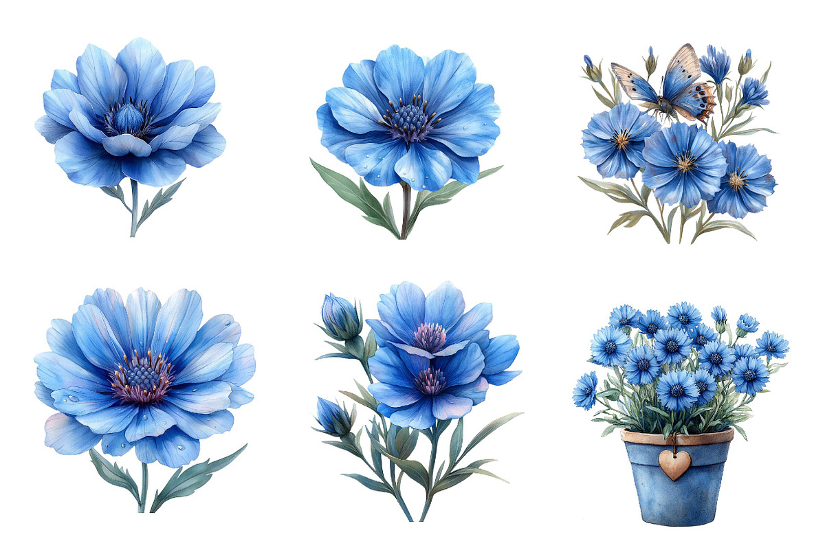 Blue Watercolor Cornflower Clipart, an Illustration by CreationArt (Photo 5 of 5)
