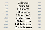 Cadera Serif | 162 Font Files, a Serif Font by Ws Studio (Thumbnail 10 of 12)