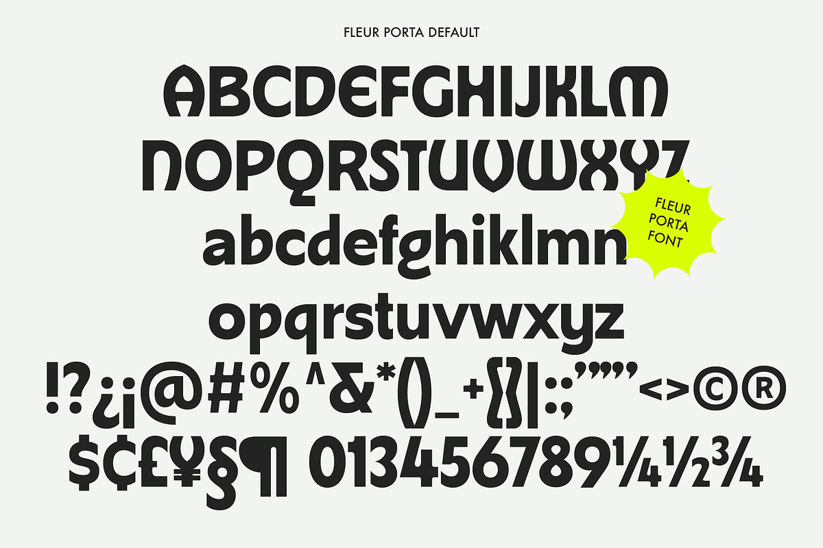Fleur Porta | Display Sans, a Sans Serif Font by Jolicia Type (Photo 10 of 14)
