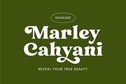 Heigan - Retro Font Family, a Serif Font by Grezline Studio (Thumbnail 2 of 13)