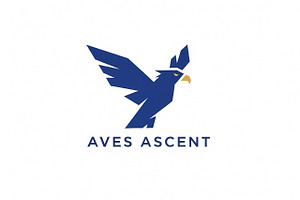 Aves Ascent Blue, a Branding & Logo Template by Logocreative