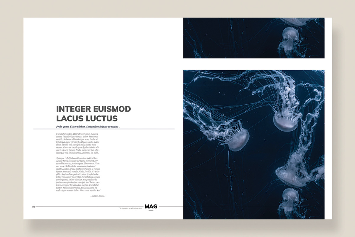 Magazine Template 08, a Magazine Template by pmvch (Photo 10 of 12)