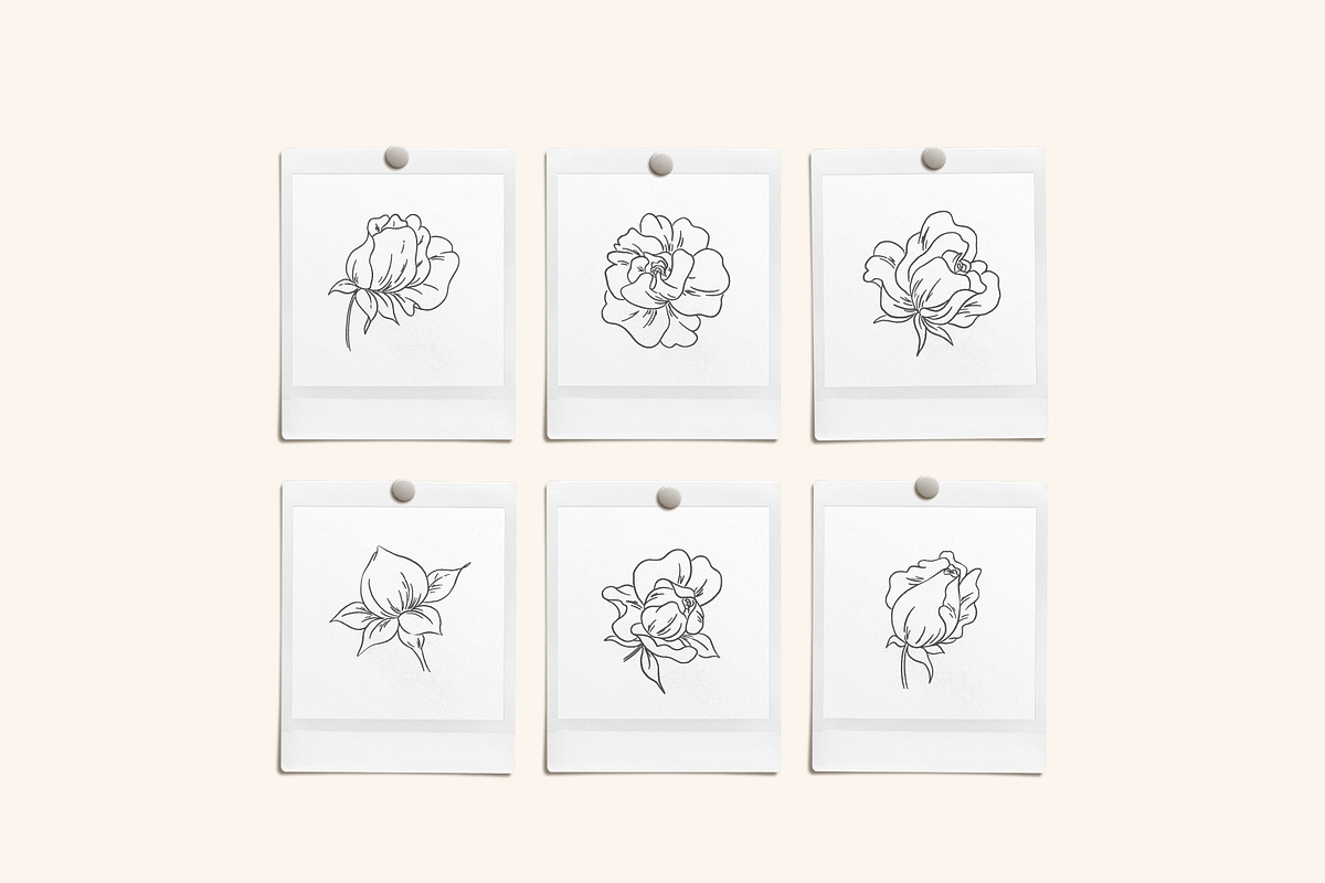 Rose Garden Vector Illustrations, an Illustration by Emma Webb Studio (Photo 7 of 8)
