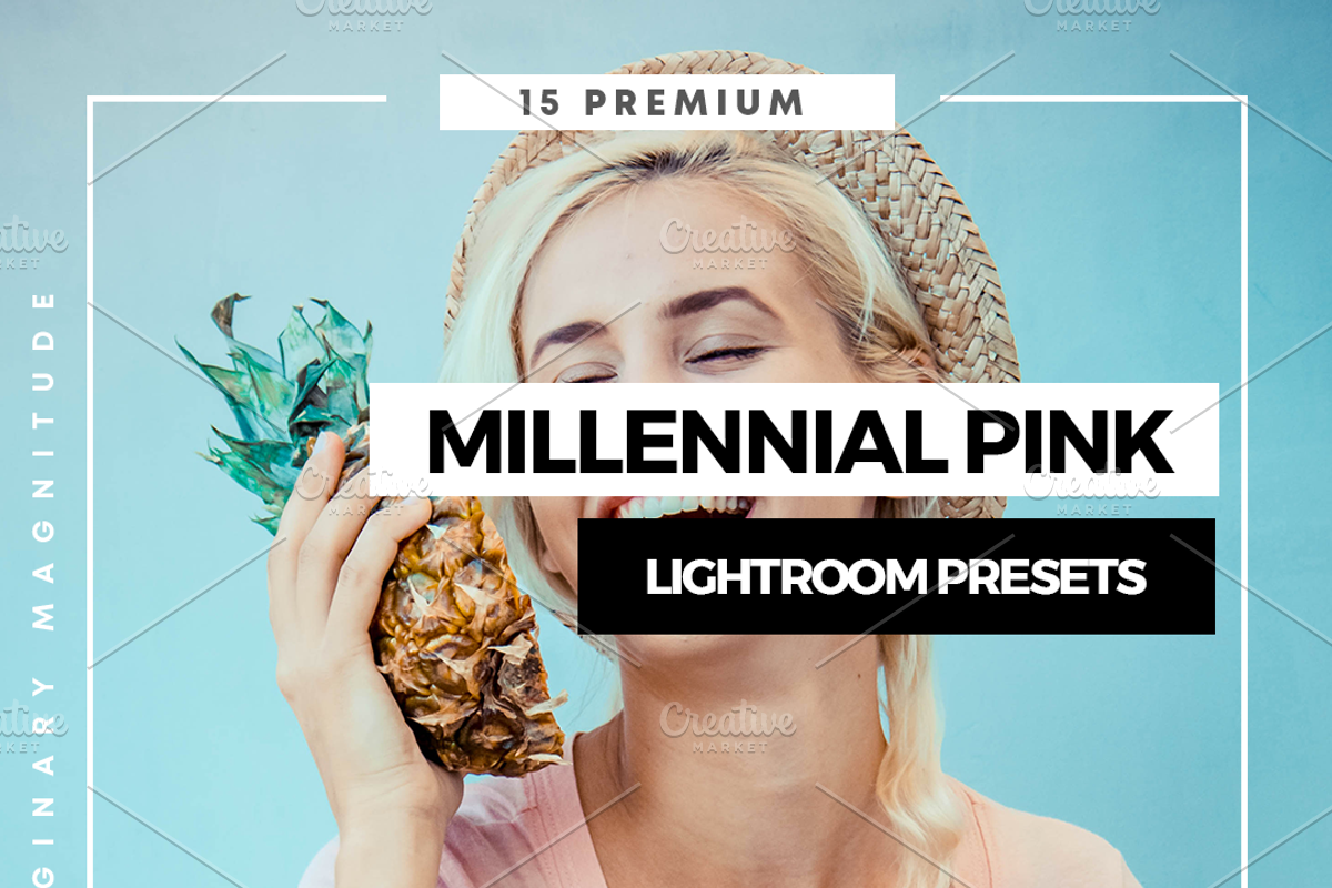 Bloggers Lightroom CC App Presets, an Action Add-On by I & M Lightroom Presets (Photo 1 of 11)