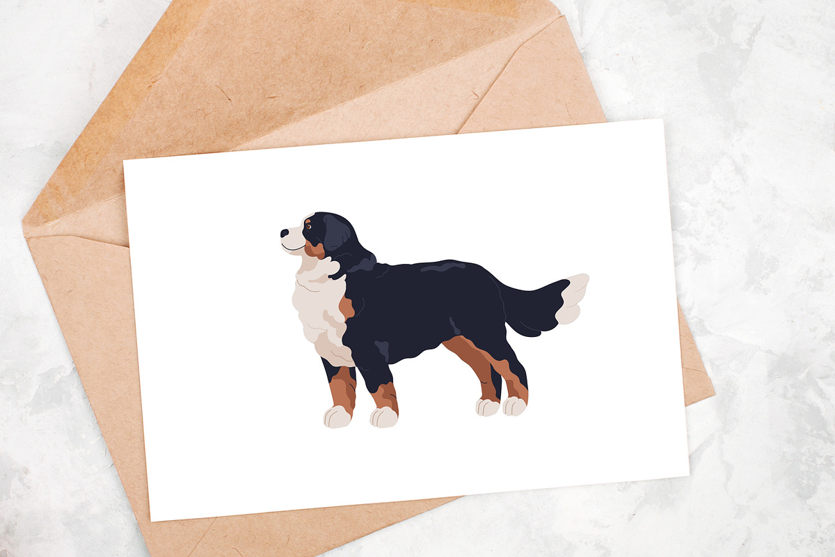 Cute bernese mountain dog set, an Animal Illustration by Good Studio (Photo 5 of 6)