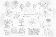 Floral Line Art illustration svg 150, an Illustration by Drawberx (Thumbnail 5 of 13)