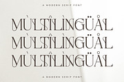 Metrolin Modern Serif Font, a Serif Font by Storytype Studio (Thumbnail 12 of 15)