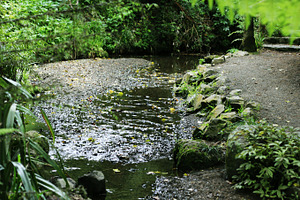 Beautiful Stream