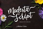 Modesta Script Font duo, a Script Font by Letterhend Studio (Thumbnail 1 of 7)