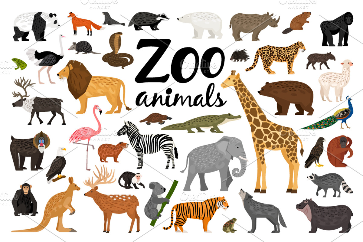 Zoo Animals, an Object Graphic by ianakauri