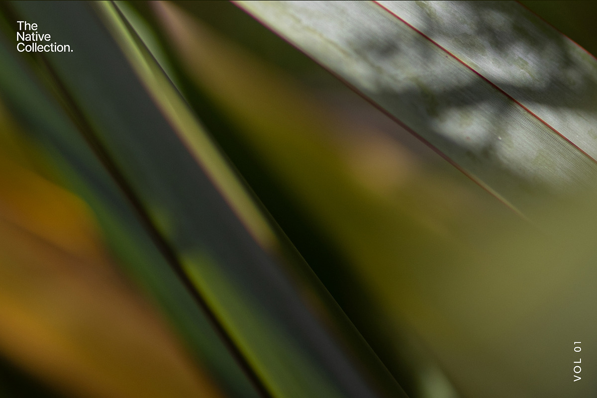 Natural textures - Green edition v01, a Texture Graphic by Haehae photography (Photo 6 of 6)