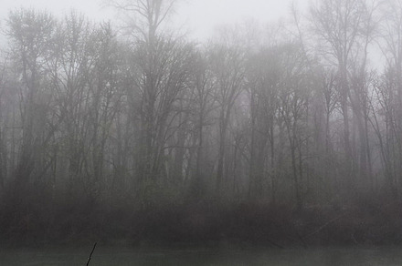 Foggy days 8 featuring fog, oregon, and pacific northwest