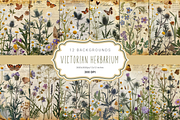 Victorian Herbarium, a Background Graphic by Curve Design (Thumbnail 1 of 7)
