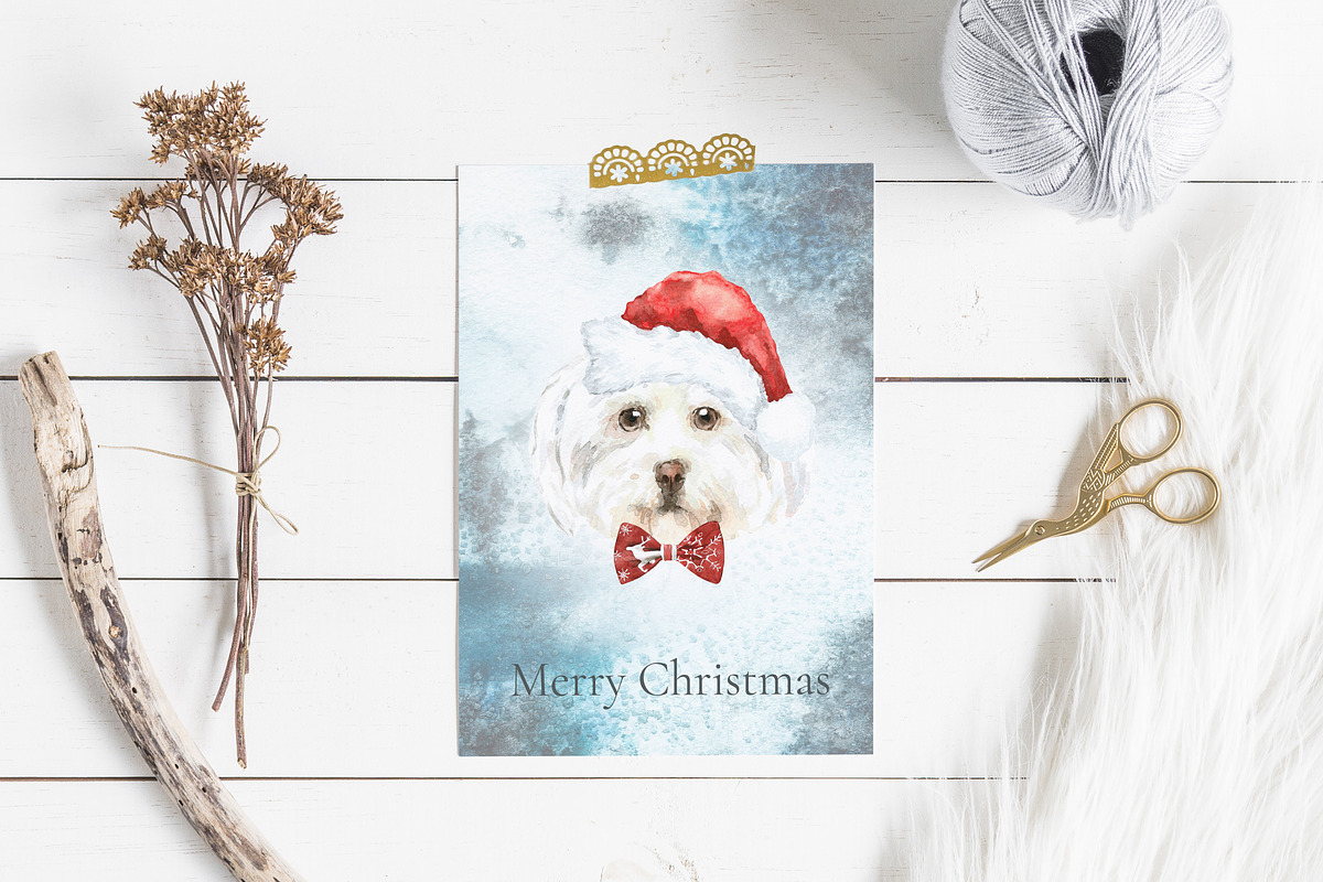 Christmas Character Dogs & Cats, an Animal Illustration by Catherine Wheel (Photo 19 of 23)