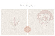 BUNDLE Floral watercolor paper, a Texture Illustration by Anna Sokol (Thumbnail 44 of 71)