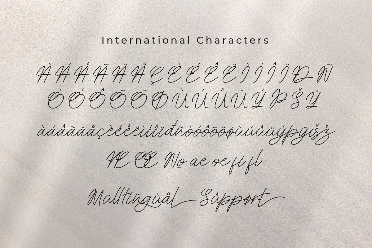 Steelbany, a Script Font by Goresan Studio (Photo 11 of 15)