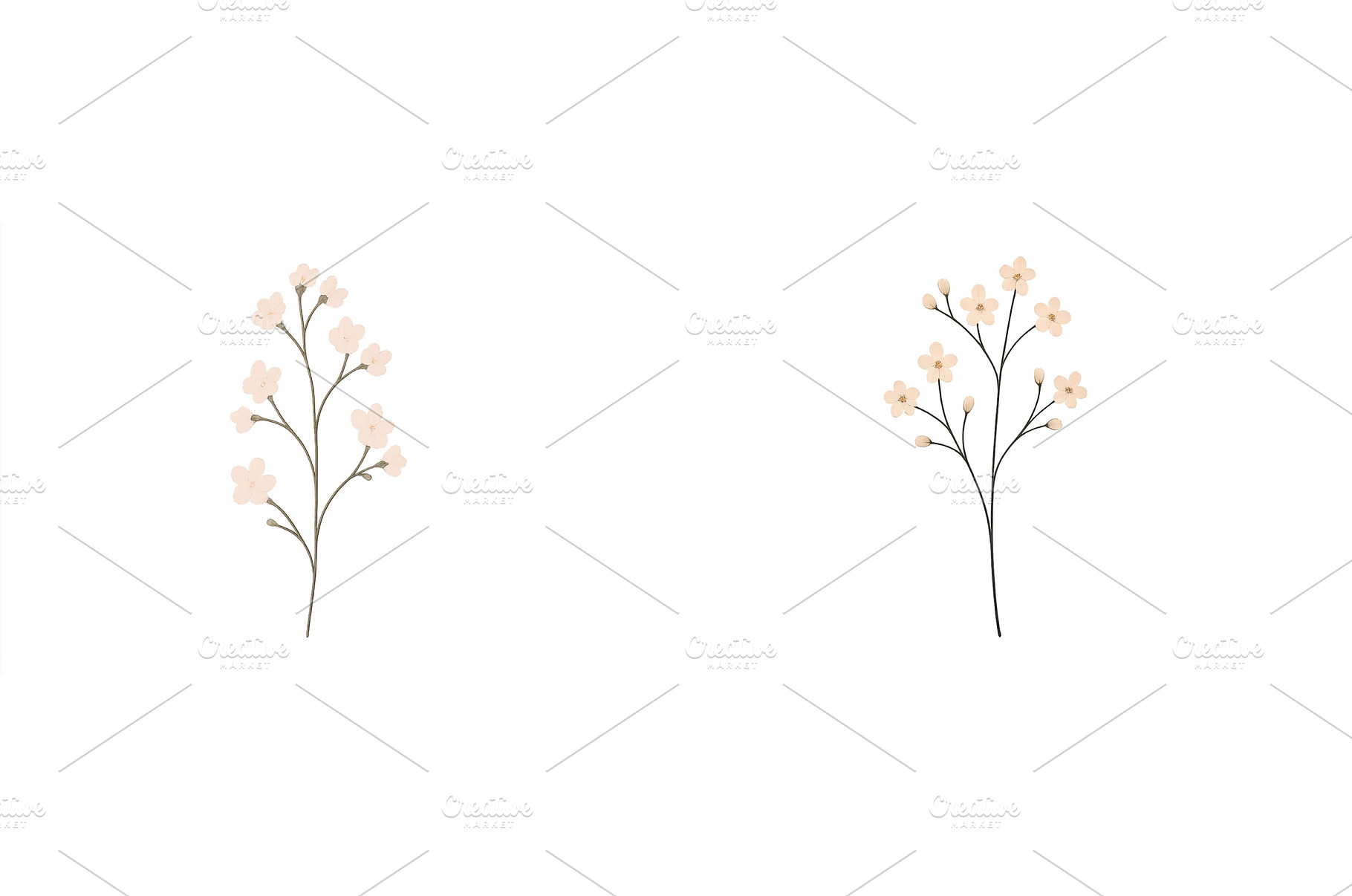 Floral design featuring delicate, an Arts & Entertainment Photo by ZinetroN