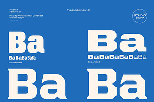 Intensa - Font Family