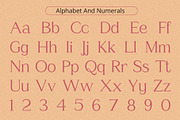 Amstir Vintage – Serif Stamp Font, a Serif Font by Craft Supply Co. (Thumbnail 6 of 8)