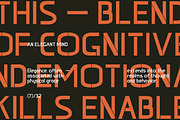 Vantheon Sans Serif Font, a Sans Serif Font by Vadovastd (Thumbnail 5 of 7)