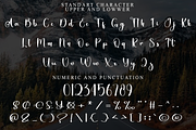 Elegant Christmas, a Handwritten Font by FreshTypeINK (Thumbnail 7 of 8)