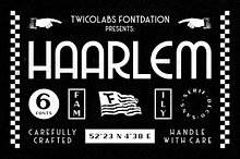 Haarlem Family | 3 in 1 Fonts