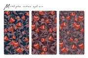 PHYSALIS GARDEN — Botanical Patterns, a Decorative Illustration by Liiafis (Thumbnail 4 of 17)