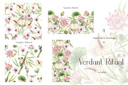 Watercolor Verdant Ritual Collection, a Decorative Illustration by MayaNavits (Thumbnail 5 of 13)