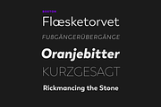 Boston, a Sans Serif Font by Latinotype (Thumbnail 2 of 12)