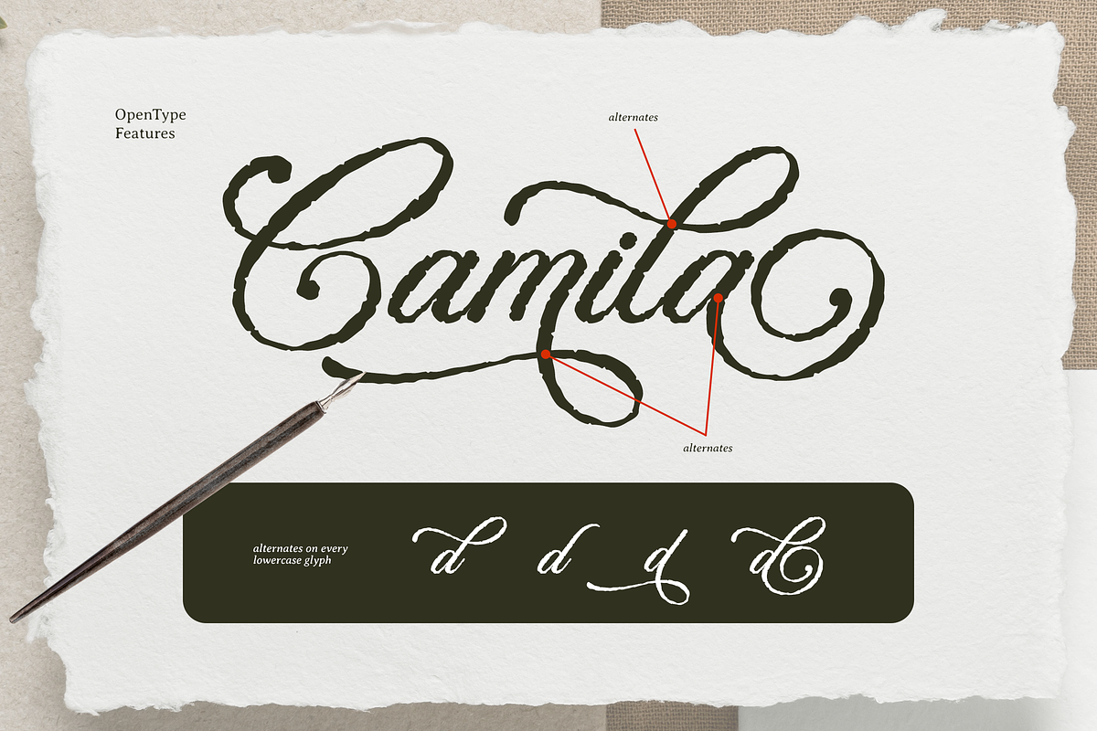 Eloquent Signature-Luxury Script, a Script Font by Namara Creative Studio (Photo 8 of 12)