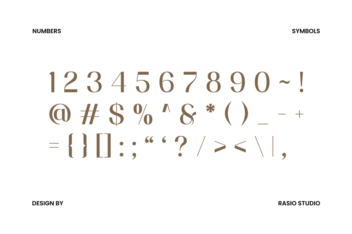 Vermica Modern Elegant Sans Font, a Sans Serif Font by Rasio Studio (Photo 3 of 11)