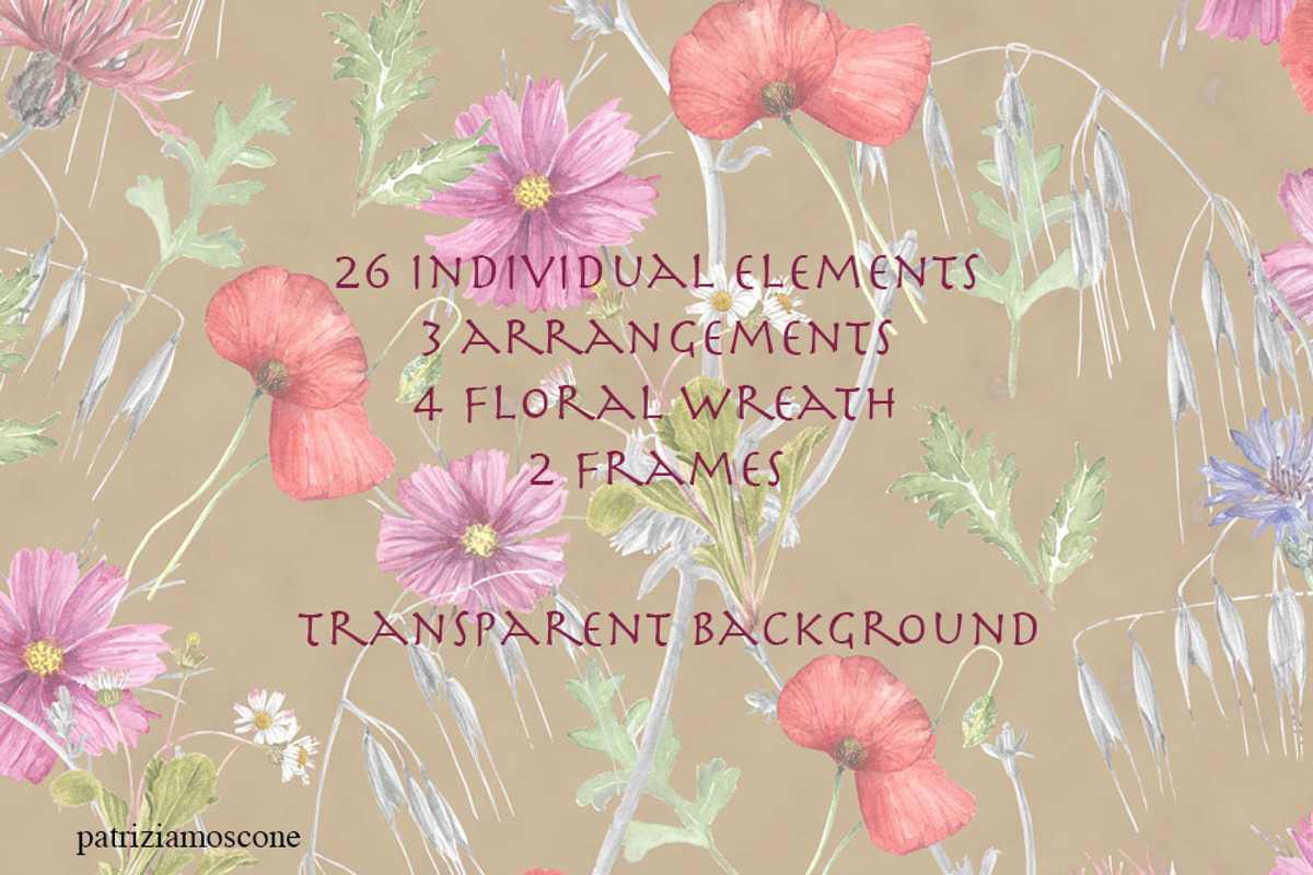 Wildflowers, an Illustration by patriziamoscone (Photo 6 of 10)